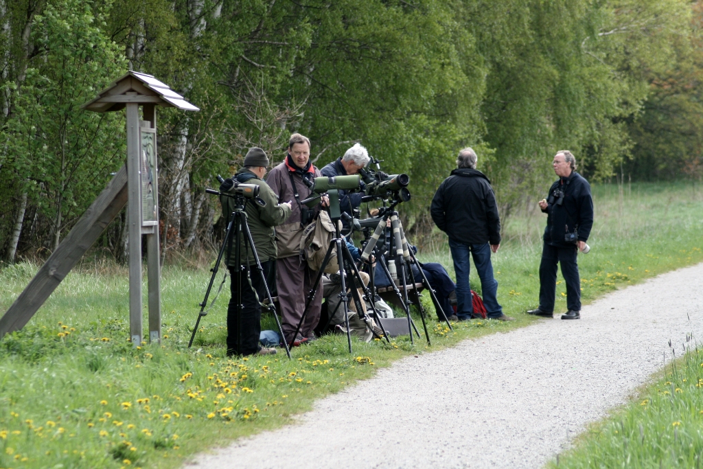 VWG vogelreis Oost Duitsland mei 2010 063